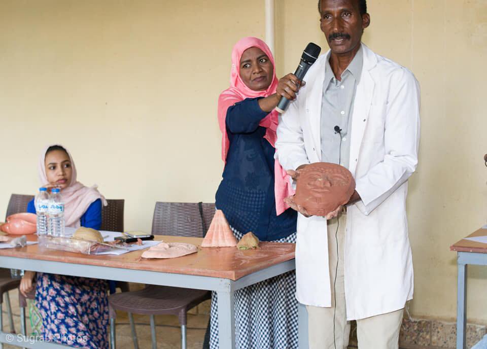 حكومة ظل حزب بناء السودان